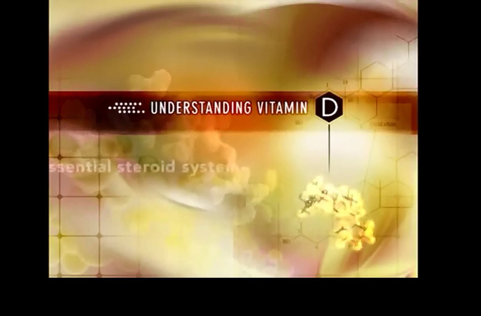 Understanding Vitamin D