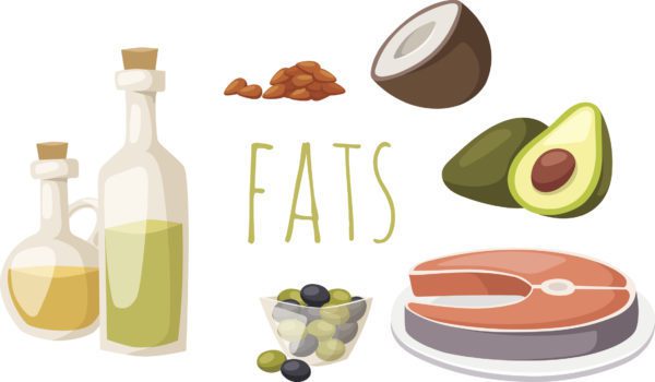 Why Fats Are Good