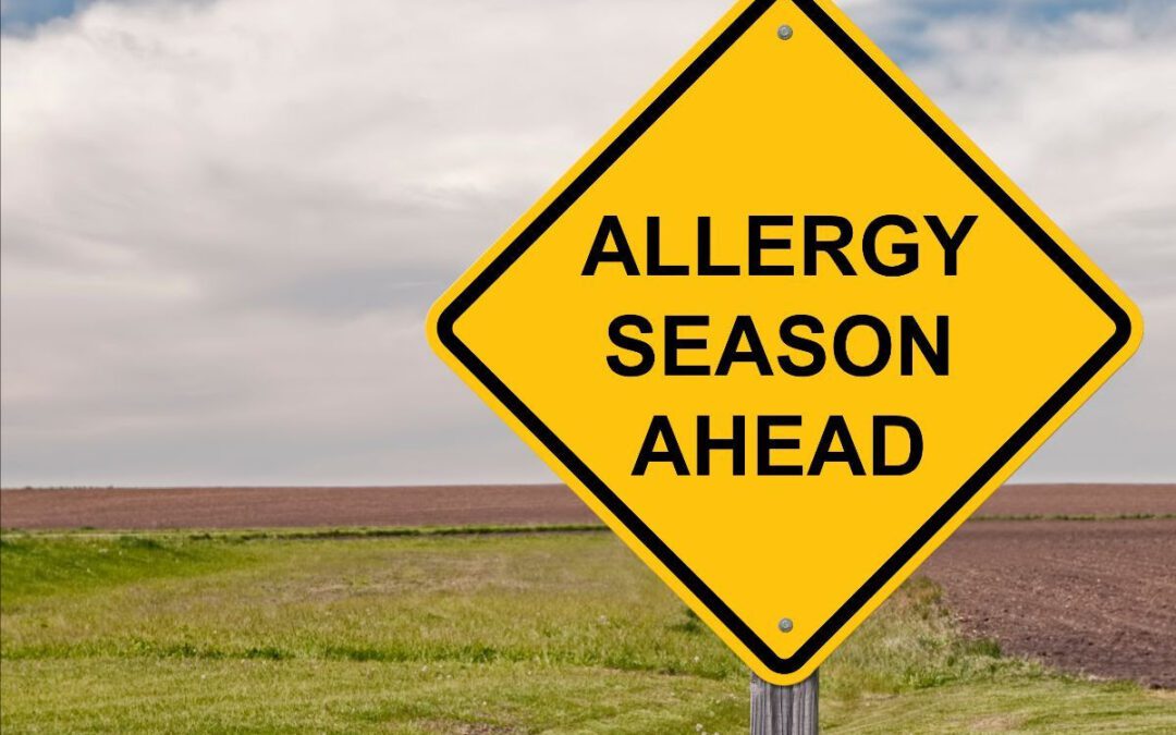 Ask Julie: 5 Solutions to Seasonal Allergies